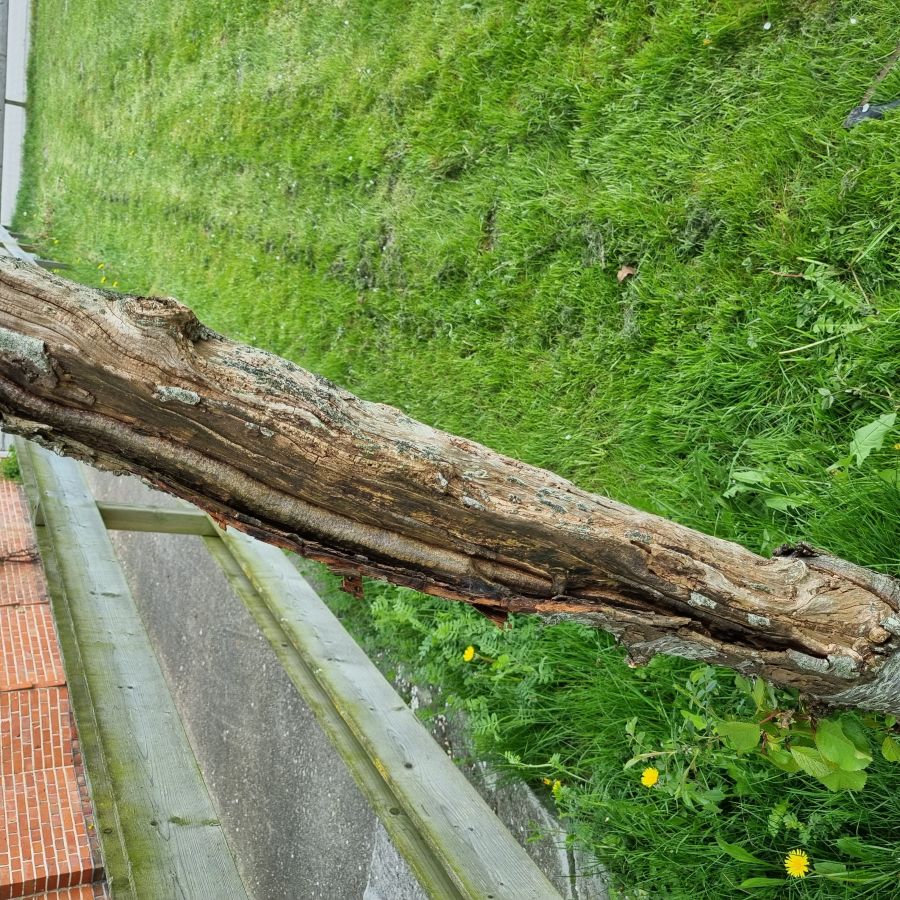 Afbeelding van het blog