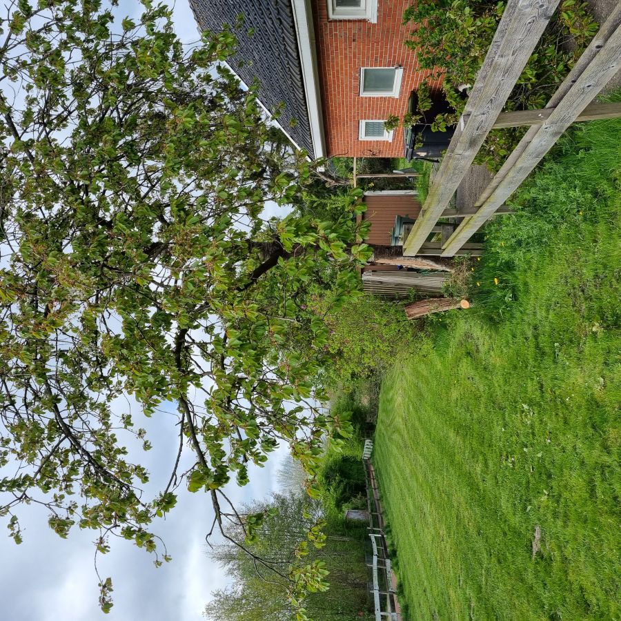 Afbeelding van het blog