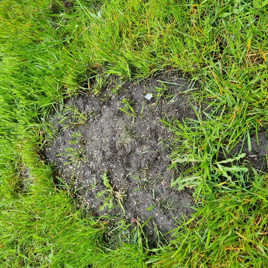 Afbeelding van het blog