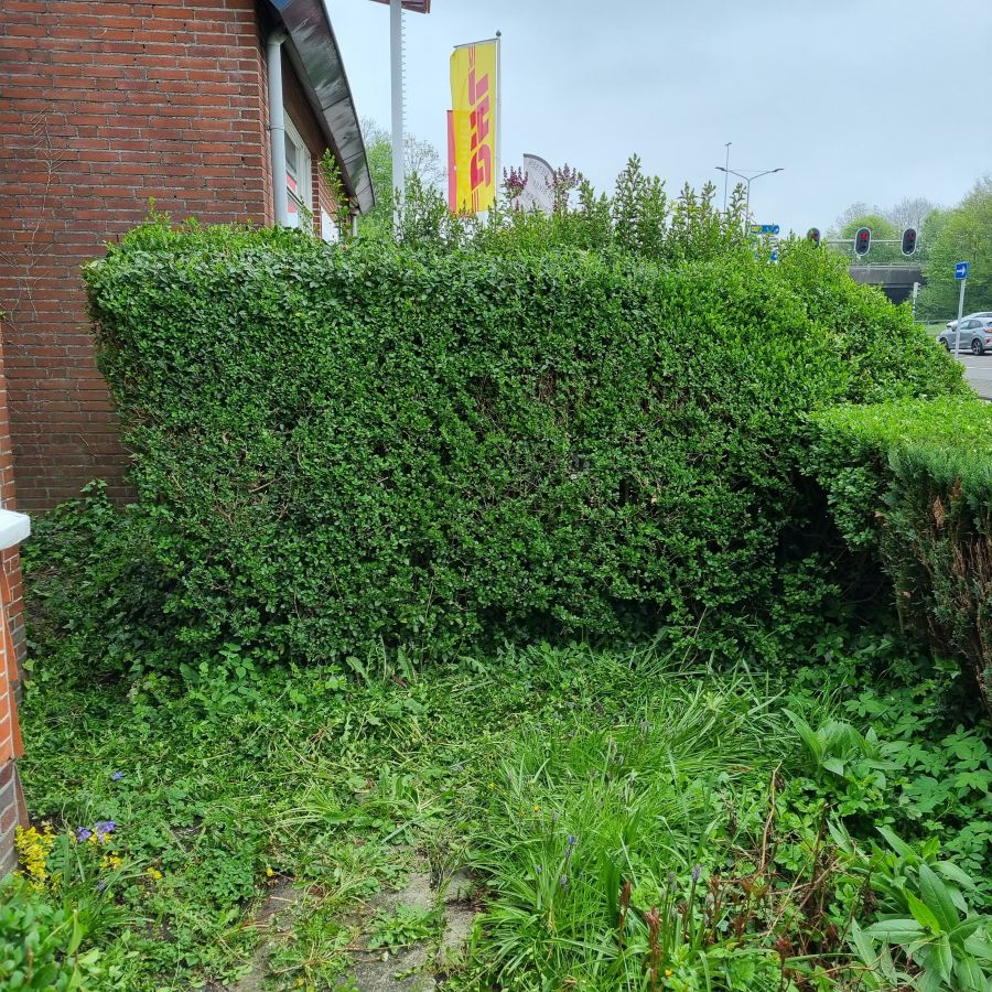 Afbeelding van het blog
