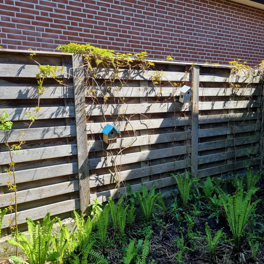Afbeelding van het blog