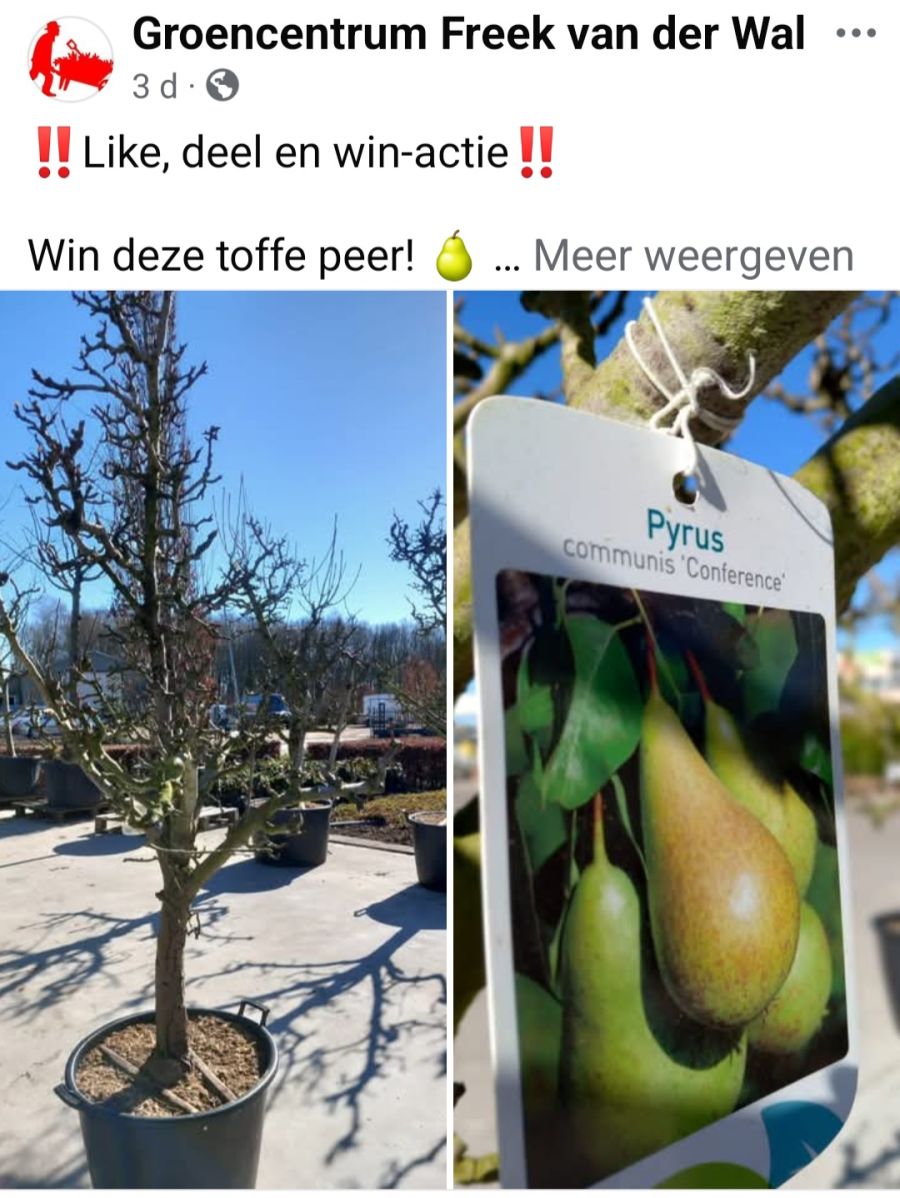 Afbeelding van het blog