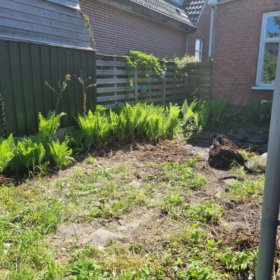Afbeelding van het blog
