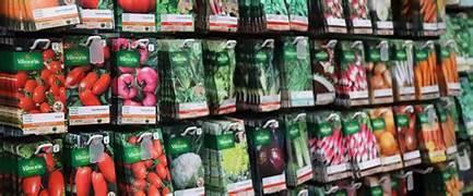 Moestuin januari