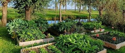 Moestuin september