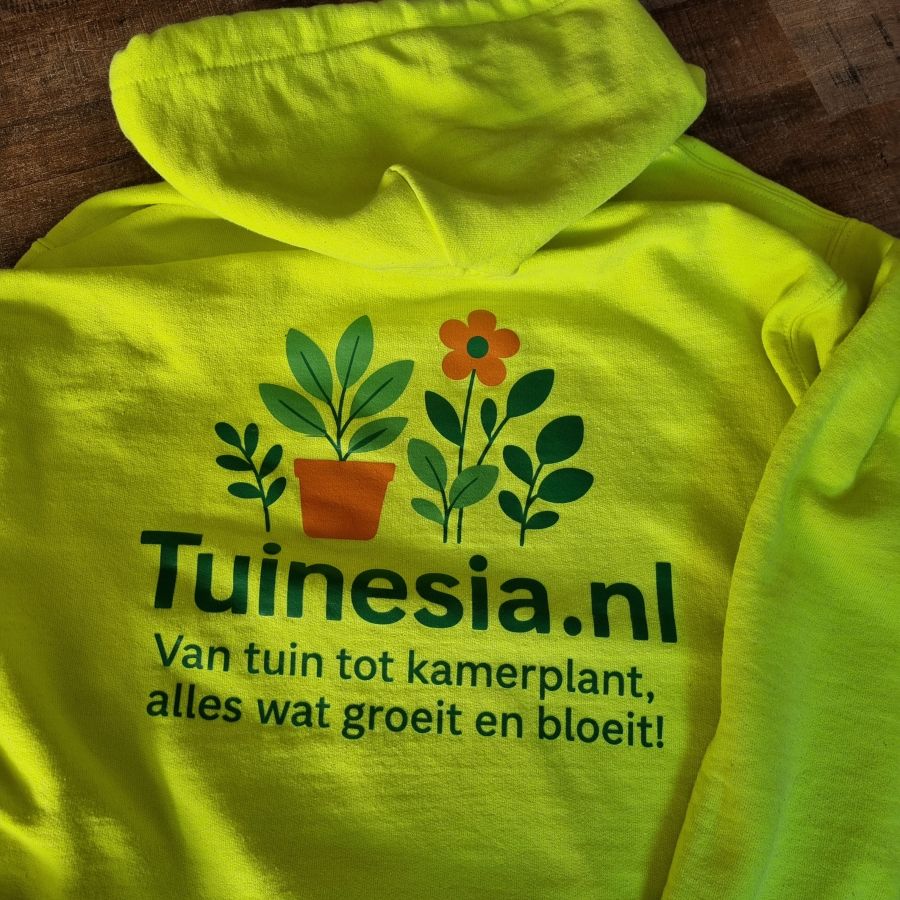Afbeelding van het blog