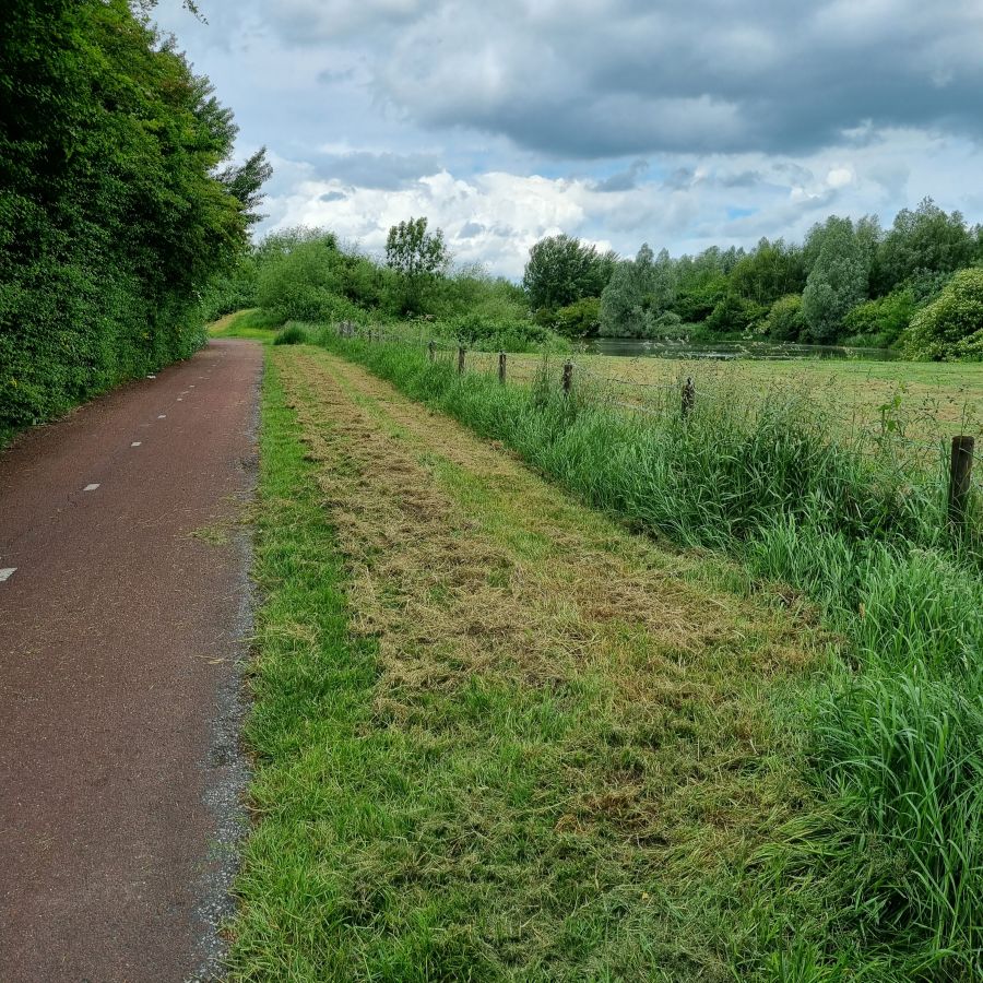 Afbeelding van het blog