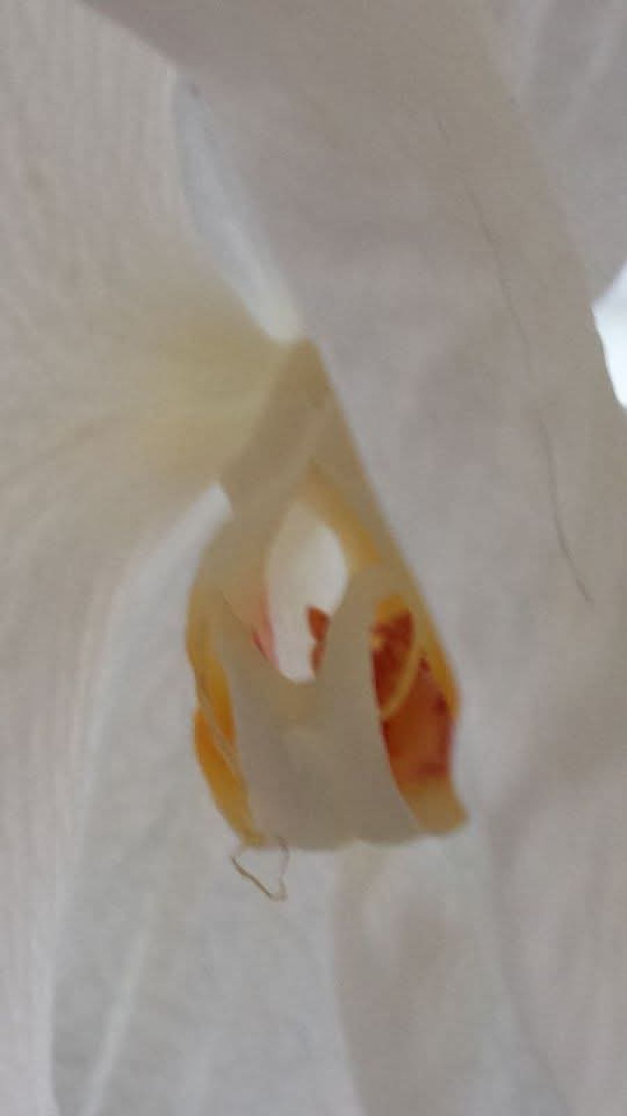 Afbeelding van het blog